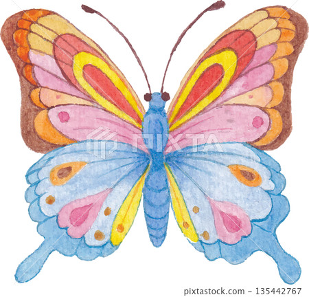 Butterfly Watercolor Illustration Cute Animal Art Butterfly Watercolor Illustration Cute Animal Art 135442767
