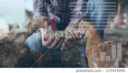 Poultry farmer plaid-shirted in jeans feeding chickens grain feed in barn coop, with data overlays Poultry farmer plaid-shirted in jeans feeding chickens grain feed in barn coop, with data overlays 135443084