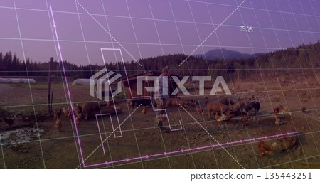Walking farmer in plaid shirt, jeans inspecting pasture, with pigs hens wooden shelter grid overlay 135443251