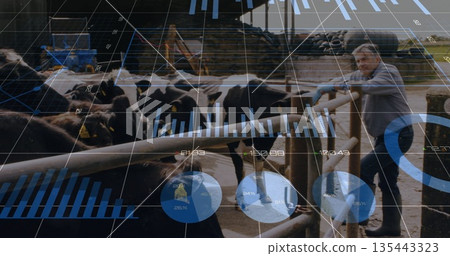 Leading farmer guiding cows through pen at dairy farm, with metal rails, digital charts, copy space Leading farmer guiding cows through pen at dairy farm, with metal rails, digital charts, copy space 135443323