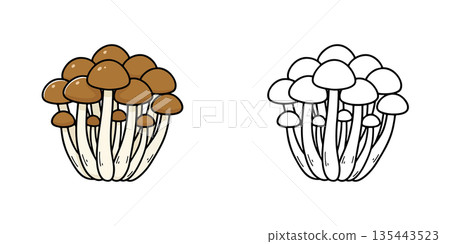 簡單的石龍子圖示插圖 135443523