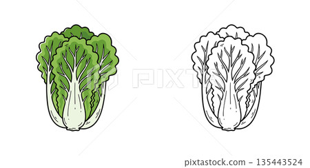 Simple Chinese cabbage icon illustration Simple Chinese cabbage icon illustration 135443524