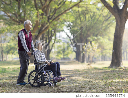 Asian senior or elderly old lady woman patient on wheelchair in park Asian senior or elderly old lady woman patient on wheelchair in park 135443754