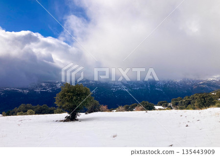 Pristine winter mountain views reveal snow-covered peaks and untouched alpine landscapes in the Sierra Nevada, Spain. Pristine winter mountain views reveal snow-covered peaks and untouched alpine landscapes in the Sierra Nevada, Spain. 135443909