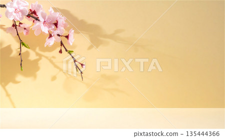 Quiet background with cherry blossoms expressed in shadows 6 135444366