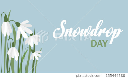 National Snowdrop Day banner Vector graphic 135444388