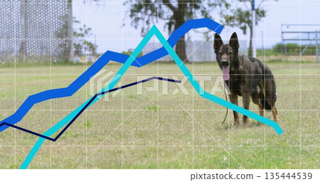 Standing brindle-coated German Shepherd dog panting in park, with overlaid line graphs, copy space 135444539