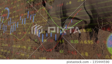 Grazing solitary rhinoceros nibbling dry grass and shrubs in savannah, with financial overlay 135444590