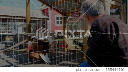 Kneeling mature man wearing plaid shirt and jeans tending turkey pen on farm yard, copy space Kneeling mature man wearing plaid shirt and jeans tending turkey pen on farm yard, copy space 135444601