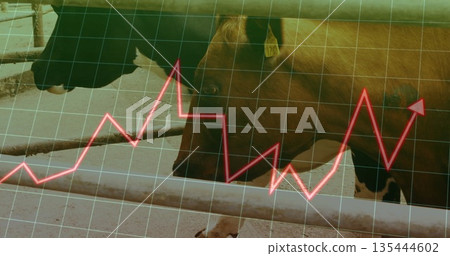 Showing dairy cow with ear tag standing behind rails in concrete pen, with grid, arrow overlay 135444602