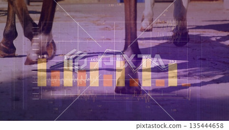 Galloping horse hooves and lower legs moving over dusty paddock, showing bar charts and line graph Galloping horse hooves and lower legs moving over dusty paddock, showing bar charts and line graph 135444658