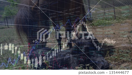 Lying dark pig soaking up sunlight on sandy soil in paddock, with brown horse, wire fence Lying dark pig soaking up sunlight on sandy soil in paddock, with brown horse, wire fence 135444677