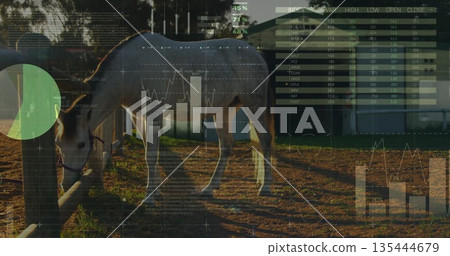 Standing horse wearing halter in sunlit paddock next to fence post, displaying stock chart overlays Standing horse wearing halter in sunlit paddock next to fence post, displaying stock chart overlays 135444679