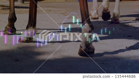 Walking horse hooves crossing sunny paddock with candlestick chart line graph numeric data overlay Walking horse hooves crossing sunny paddock with candlestick chart line graph numeric data overlay 135444686