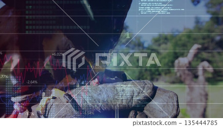 Gripping thick leather work gloves holding pruned vine trunk in vineyard, financial chart overlay Gripping thick leather work gloves holding pruned vine trunk in vineyard, financial chart overlay 135444785