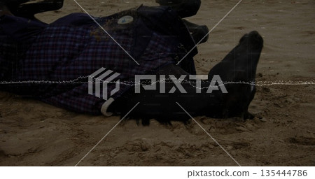 Lying person wearing dark plaid coat and black boots on sandy beach, with ridged sand textures 135444786