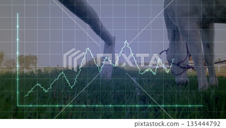Grazing pale horse lowering head on grassy pasture, with grid overlay and glowing line graph Grazing pale horse lowering head on grassy pasture, with grid overlay and glowing line graph 135444792