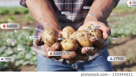 Holding soil-covered potatoes farmer wearing plaid shirt working in potato field, with social icons 135444811