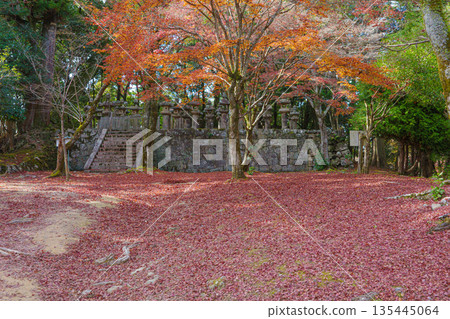 兵庫縣姬路市書寫山圓教寺的秋葉 135445064