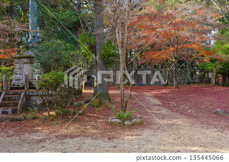 兵庫縣姬路市書寫山圓教寺的秋葉 兵庫縣姬路市書寫山圓教寺的秋葉 135445066