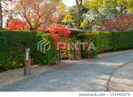 日本神戶的秋天－空樂園日式庭園中的日式大門與秋葉 135445079