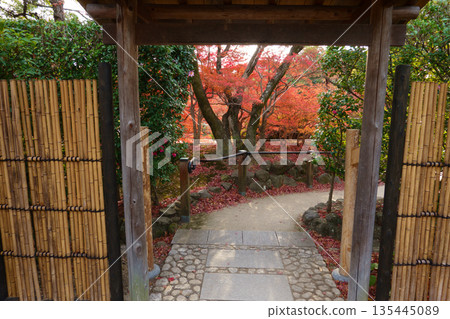日本神戶的秋天－空樂園日式庭園中的日式大門與秋葉 135445089