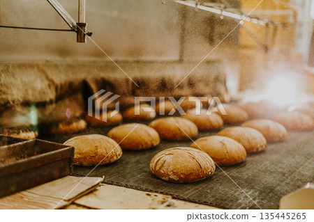 Fresh buns from the oven. Conveyor with bread. Baking bread. Workshop for production of bread. White bread in the oven. Hot buns. Confectionery 135445265