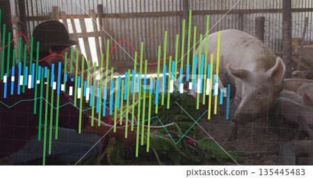 Man wearing wide-brimmed hat kneeling inside pigpen feeding pig leafy greens, copy space Man wearing wide-brimmed hat kneeling inside pigpen feeding pig leafy greens, copy space 135445483