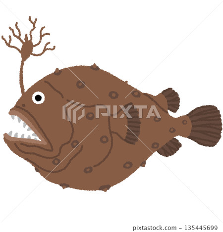 Illustration of anglerfish 135445699