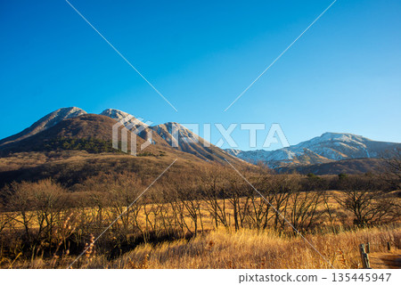 黃昏時的塔德瓦拉沼澤和白雪皚皚的美摩田山 135445947