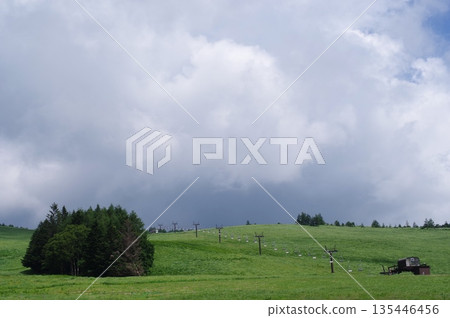 Kurumayama Plateau (Nagano Prefecture) 135446456