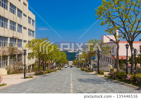 北海道函館春天的八幡坂 135446516