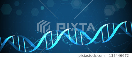 Futuristic molecule and genetic code, DNA strands, connected neural web Futuristic molecule and genetic code, DNA strands, connected neural web 135446672