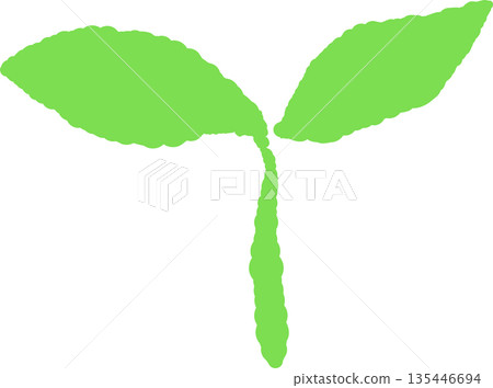 手繪彩色圖標，描繪了正在生長的嫩芽和幼葉。 135446694