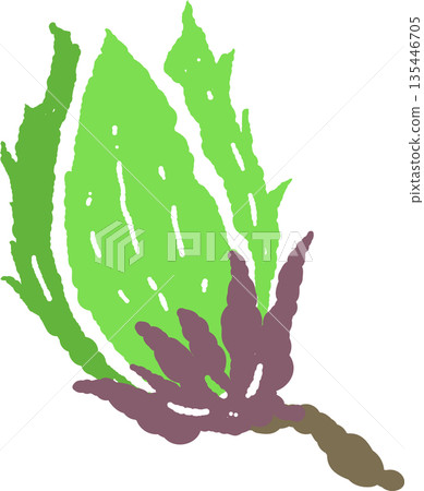 手繪彩色插圖，描繪了初夏茂盛的樹葉和枝條 135446705