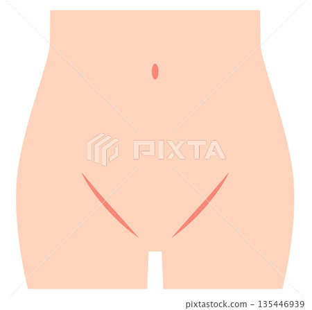 Abdomen, lower abdomen, groin 135446939
