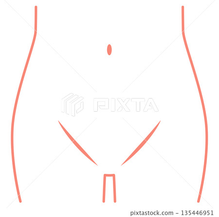 腹部、下腹部、腹股溝 135446951