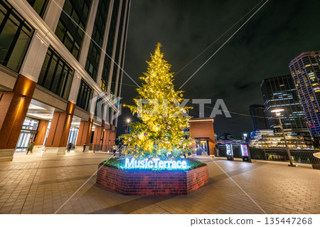 : Christmas tree at K Arena Yokohama Music Terrace and the night view of Minato Mirai 135447268