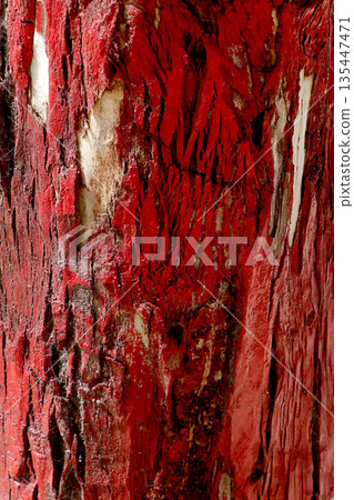 Red Painted Tree Bark Texture Background 135447471
