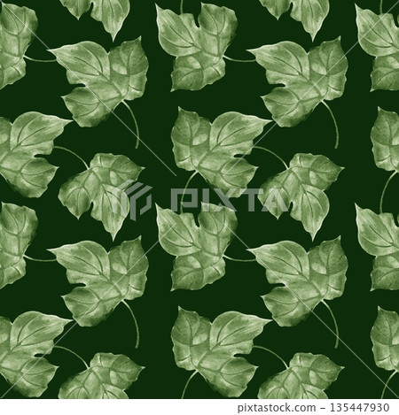 Watercolor illustration of a seamless pattern with green ivy leaves on a dark background. Repeatable botanical foliage ornament for textile design, wallpaper, and wrapping paper. Watercolor illustration of a seamless pattern with green ivy leaves on a dark background. Repeatable botanical foliage ornament for textile design, wallpaper, and wrapping paper. 135447930