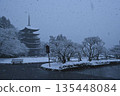 Rurikoji Five-storied Pagoda Snowscape 135448084