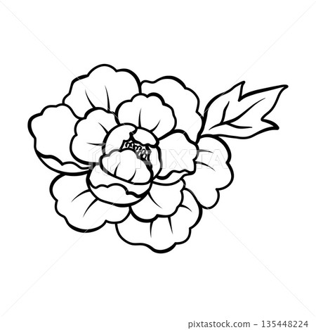 優雅的牡丹花輪廓插圖，手繪草圖設計素材 135448224