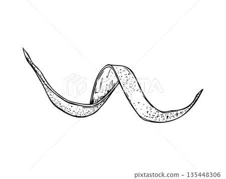 Spiral citrus peel vector line art black ink sketch. Citrus zest in twist shape isolated illustration painted by black inks. Monochrome fruit ingredient for beverage packaging, cookbook design Spiral citrus peel vector line art black ink sketch. Citrus zest in twist shape isolated illustration painted by black inks. Monochrome fruit ingredient for beverage packaging, cookbook design 135448306