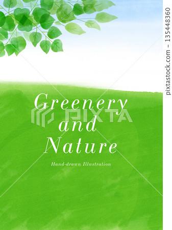 鮮綠色的樹葉和藍天構成相框背景素材 135448360