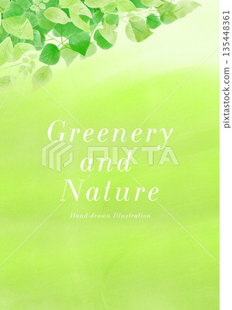 清新的綠色邊框和綠色背景 135448361