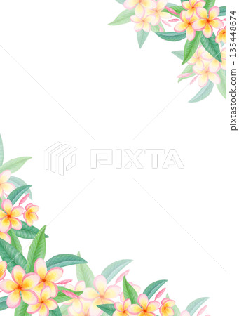 Watercolor corner tropical frame with plumeria flowers isolated on white. Exotic floral border with frangipani blossoms. Watercolor corner tropical frame with plumeria flowers isolated on white. Exotic floral border with frangipani blossoms. 135448674