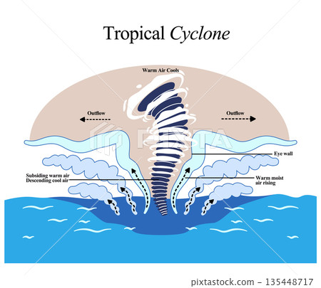 tropical cyclone hurricane or typhoon showing warm air rising cool air descending eye wall and outflow meteorological educational infographic science atmospheric tropical cyclone hurricane or typhoon showing warm air rising cool air descending eye wall and outflow meteorological educational infographic science atmospheric 135448717