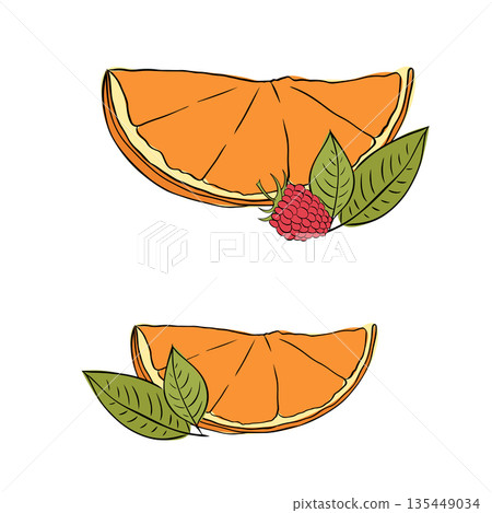 Fresh golden raspberry with green leaves and orange slice Vector Illustration silhouette icon on white background composition hand drawn illustration. Vector graphic line ink colored art. Fresh golden raspberry with green leaves and orange slice Vector Illustration silhouette icon on white background composition hand drawn illustration. Vector graphic line ink colored art. 135449034