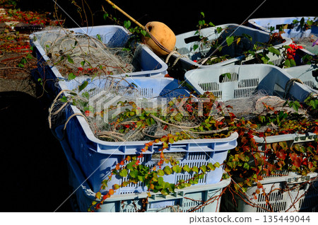 Discarded fishing gear Discarded fishing gear 135449044