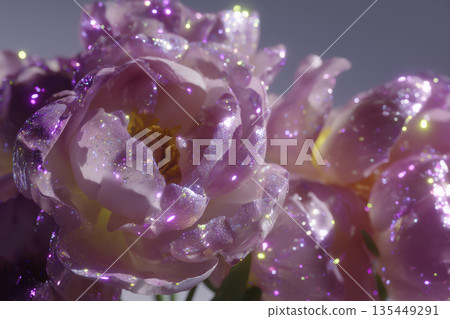 Stunning close-up of sparkling purple flowers in bright sunlight with shimmering effects Stunning close-up of sparkling purple flowers in bright sunlight with shimmering effects 135449291